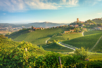 Naklejka premium Barbaresco village and Langhe vineyards, Piedmont, Italy Europe.