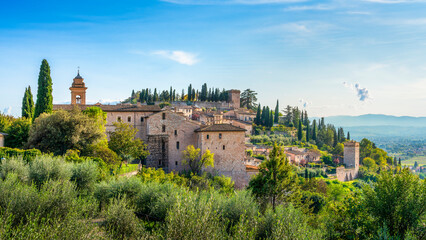 Spello medieval village and olive trees. Perugia, Umbria, Italy.
