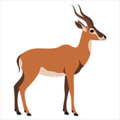 graceful antelope standing isolated on plain white background