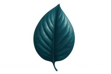 Teal tropical leaf with delicate veining, highlighting botanical details against transparent background