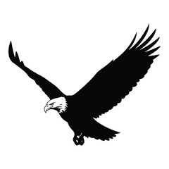 Obraz premium Majestic bald eagle soaring through the sky with wings spread wide in a powerful flight silhouette
