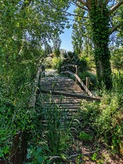 A small wooden footbridge crossing a stream in an Italian nature reserve.