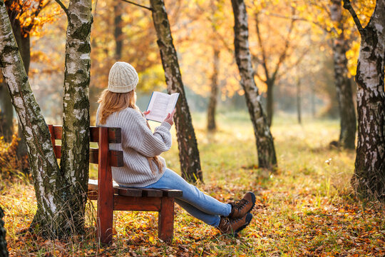 Woman sitting on wooden bench in fall forest while reading book, enjoying quiet moment of leisure and mindfulness outdoors