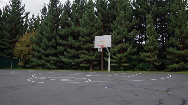 Sports facility designed for basketball activities situated in countryside environment, showcasing vacant playing surface positioned adjacent to linear arrangement of coniferous trees