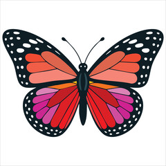 flat design butterfly perfect for educational nature projects vector isolated on white background
