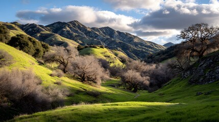 Fototapeta premium A sun-drenched valley unfolds, showcasing rolling hills, vibrant greenery, and towering oak trees under a partly cloudy sky.