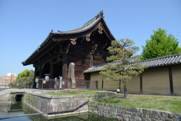 Obraz premium 新緑の東寺 南大門 京都市南区九条町
