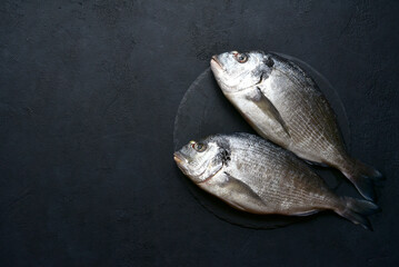 Raw dorado fish with ingredients for making : lemon, herbs, garlic, olive oil and salt . Top view with copy space.