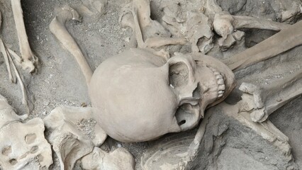 Herculaneum, Italy - 9 January 2025. A skull rests on compacted ash among ribs and limbs, part of the remains from the 79 AD eruption of Mount Vesuvius.