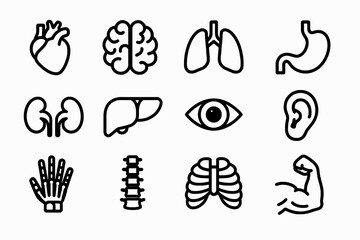 Set of 12 black human body and anatomy icons in flat vector style with white background, perfect for medical apps, health infographics, and education tools.