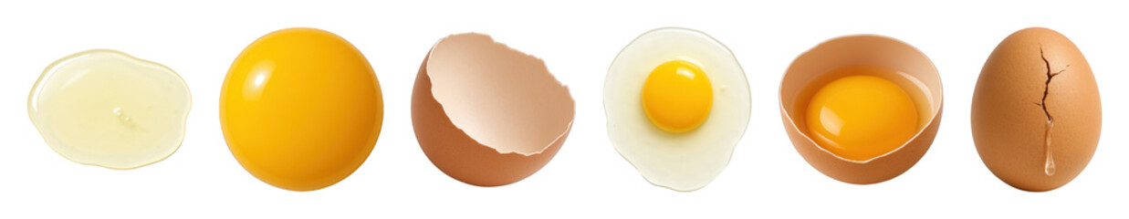Egg set including whole, cracked, raw yolk, separated white, shell, and fried stages isolated. Food and cooking ingredients.