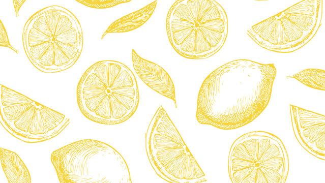 Style yellow pattern on white background, food wallpaper. Vintage drawing cut lemon sketch pattern. - Powered by Adobe