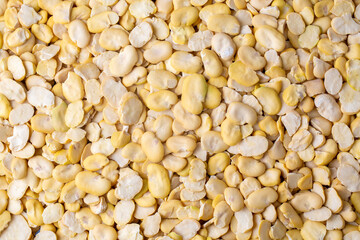 Dried broad bean on the white background