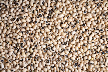 Group of black eyed or Cowpea beans