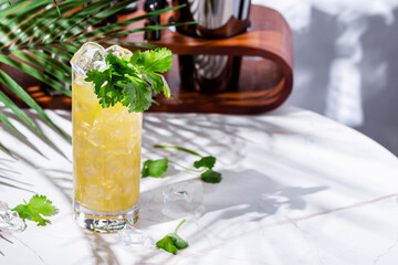 Tequila limeade alcoholic cocktail drink with tequila, agave syrup, cilantro, jalapeno, lime juice and soda with bar tools