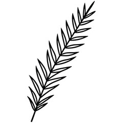 evergreen twig line art icon