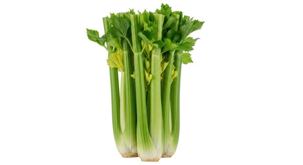 Isolated Fresh Celery Stalks