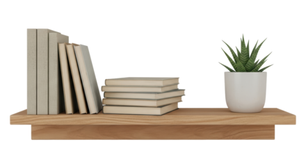 Isolated Wooden Shelf with Books and Plant