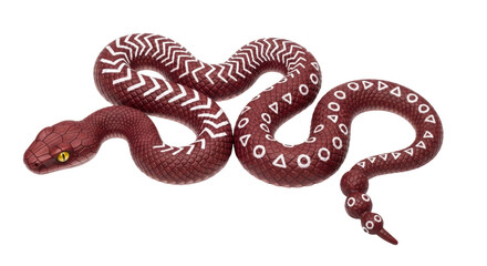 Obraz premium Isolated Snake