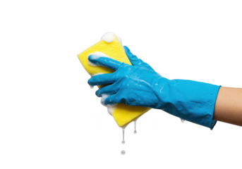 Hand in blue glove squeezing a yellow sponge with foamy soap bubbles against a solid color surface on transparent background