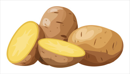 organic potatoes with earthy skin and eyes vector illustration on white background