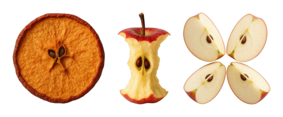 Apple set including dried slice, core, and fresh wedges isolated. Healthy food and fruit stages.