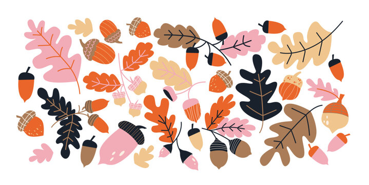 Set of autumn leaves and acorns.Oak, maple, colorful foliage and nuts, seasonal forest plants. Natural fall collection for decoration, botanical patterns and cozy stickers. Vector illustrations.