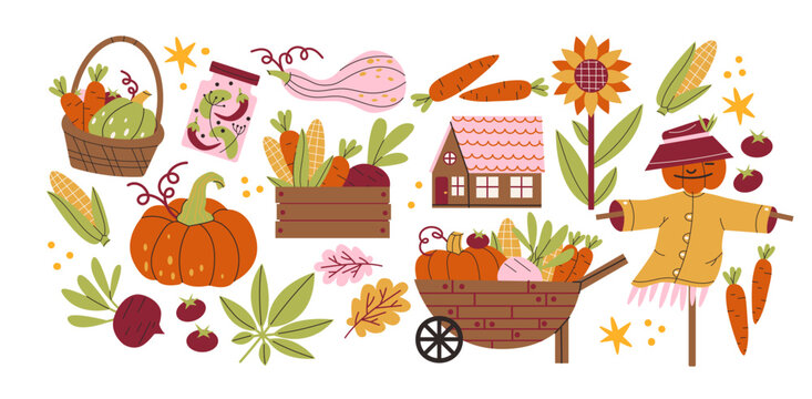 Set of autumn harvest and farming stickers in retro style. Vegetables, pumpkins, carrots, corn, tomatoes, herbs and farmhouse. Seasonal garden crops and rustic products. Vector cartoon illustrations.