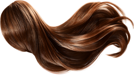 Brown hair lock with highlights isolated on a transparent background