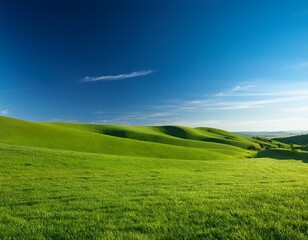 Obraz premium summertime nature photo of lush green pastures and clear blue sky explore earth s beauty copy space image place for adding text