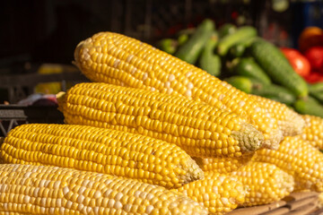 Fresh yellow corn piled high at a local market in the sunlight with green vegetables in the background