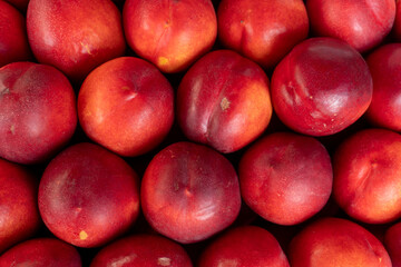Fresh nectarines arranged neatly for sale at a local market on a sunny day