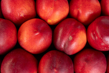 Fresh nectarines arranged in neat rows at a fruit market during summer season