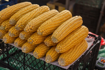 Fresh yellow corn stacked for sale at a vibrant market in the late afternoon sun