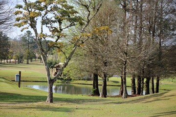 Trees around small lake with calm waters, green grass filed in golf course, Mogi Cruzes city, Brazil