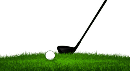 Golf clubs and balls for sporting events on the grass.