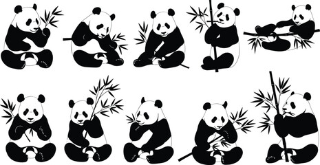 Cute panda illustrations eating bamboo, sitting, holding bamboo stalks, resting, giant panda set, black and white bear vector art, adorable wildlife animal drawings