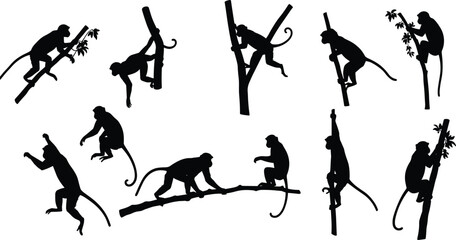 Monkey silhouettes in jungle scenes, climbing trees and branches, vector collection of primates in natural poses, wildlife illustration © Bappi Creatives
