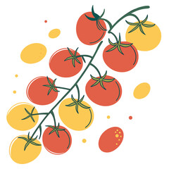 Fresh tomatoes on vine with yellow and red spots on white background illustration
