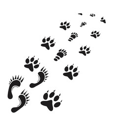 A collection of animal and human footprints in black on a white background