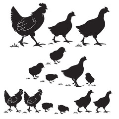 A group of chickens and chicks in various poses on grassy terrain together