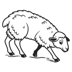 A black and white illustration of a sheep bending down to graze on the ground