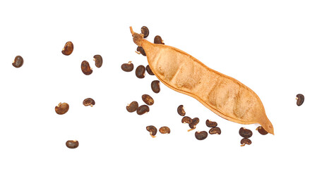 Acacia seeds and pods, dry black locust, robinia pseudoacacia (white acacia) isolated on white...