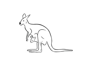 Mother kangaroo and baby icon vactor image.eps