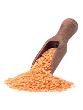 Red split lentils in a scoop isolated on a white background, sharpness across the entire object
