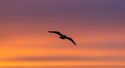 Silhouette of a Bird in Flight Against a Vibrant Sunset Sky