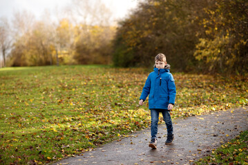 Obraz premium Young boy walking in autumn park surrounded by colorful fall leaves.