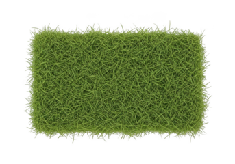 Vibrant green mossy rectangular patch with natural textured edges transparent background