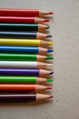 colors creative student pencils flatlay