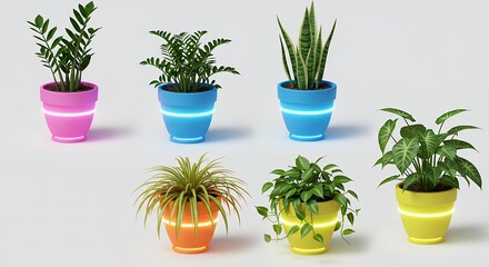 Fototapeta premium Colorful potted plants modern design home decor